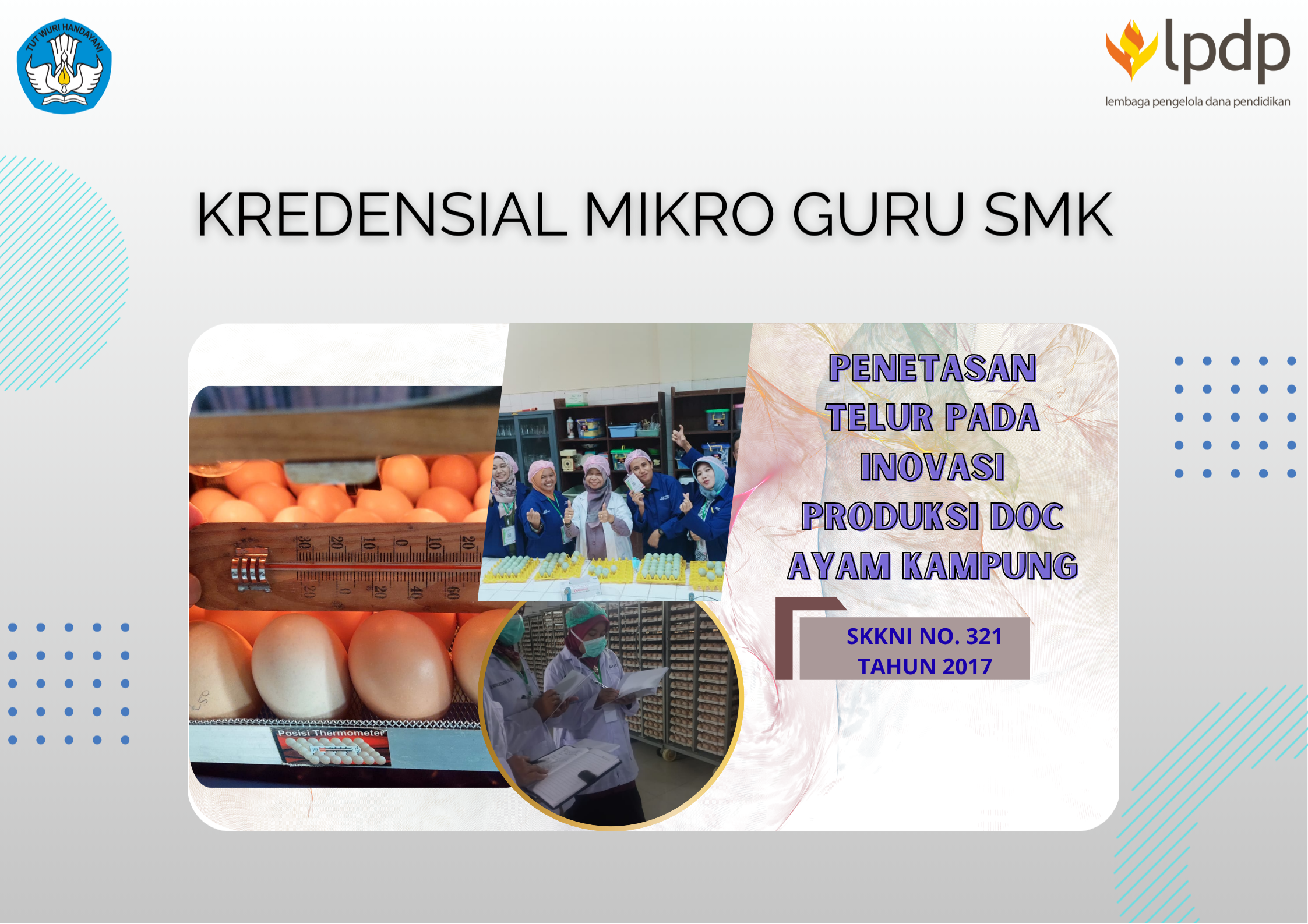 Penetasan Telur pada Inovasi Produksi DOC Ayam Kampung